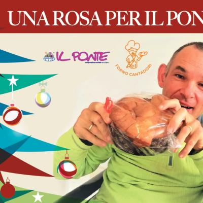 Una Rosa Per Il Ponte Torta Delle Rose Con Forno Cantadori Di Schivenoglia Tel 0386 58303